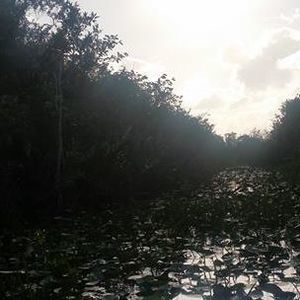 Meet your Posher, Bashayer